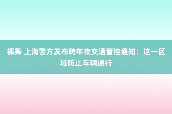 裸舞 上海警方发布跨年夜交通管控通知：这一区域防止车辆通行