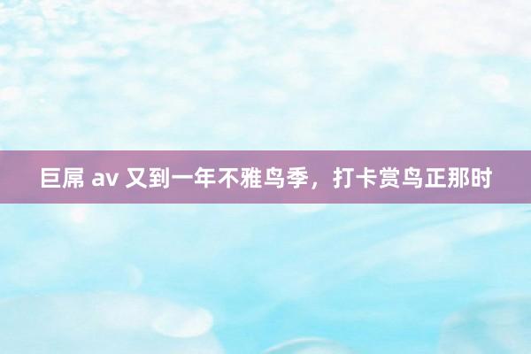 巨屌 av 又到一年不雅鸟季，打卡赏鸟正那时