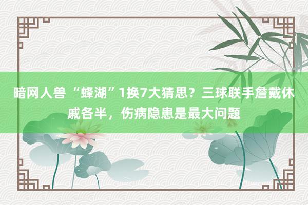 暗网人兽 “蜂湖”1换7大猜思？三球联手詹戴休戚各半，伤病隐患是最大问题