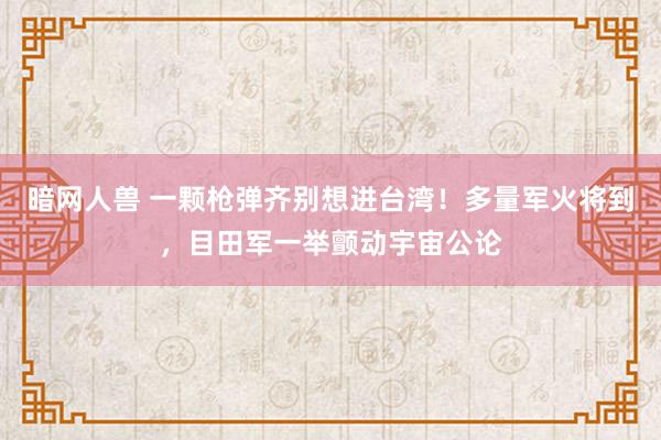 暗网人兽 一颗枪弹齐别想进台湾！多量军火将到，目田军一举颤动宇宙公论