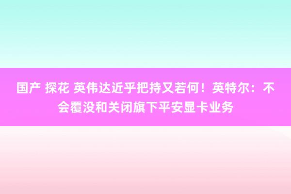 国产 探花 英伟达近乎把持又若何！英特尔：不会覆没和关闭旗下平安显卡业务