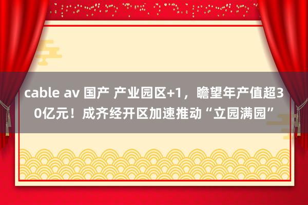 cable av 国产 产业园区+1，瞻望年产值超30亿元！成齐经开区加速推动“立园满园”