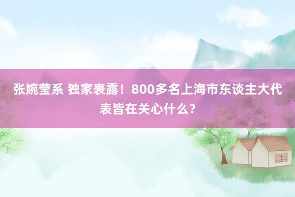 张婉莹系 独家表露！800多名上海市东谈主大代表皆在关心什么？