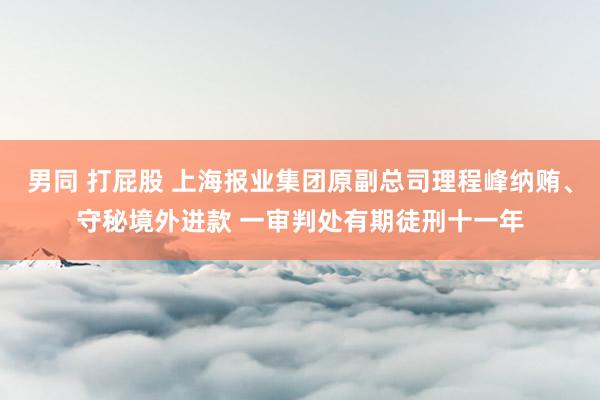 男同 打屁股 上海报业集团原副总司理程峰纳贿、守秘境外进款 一审判处有期徒刑十一年